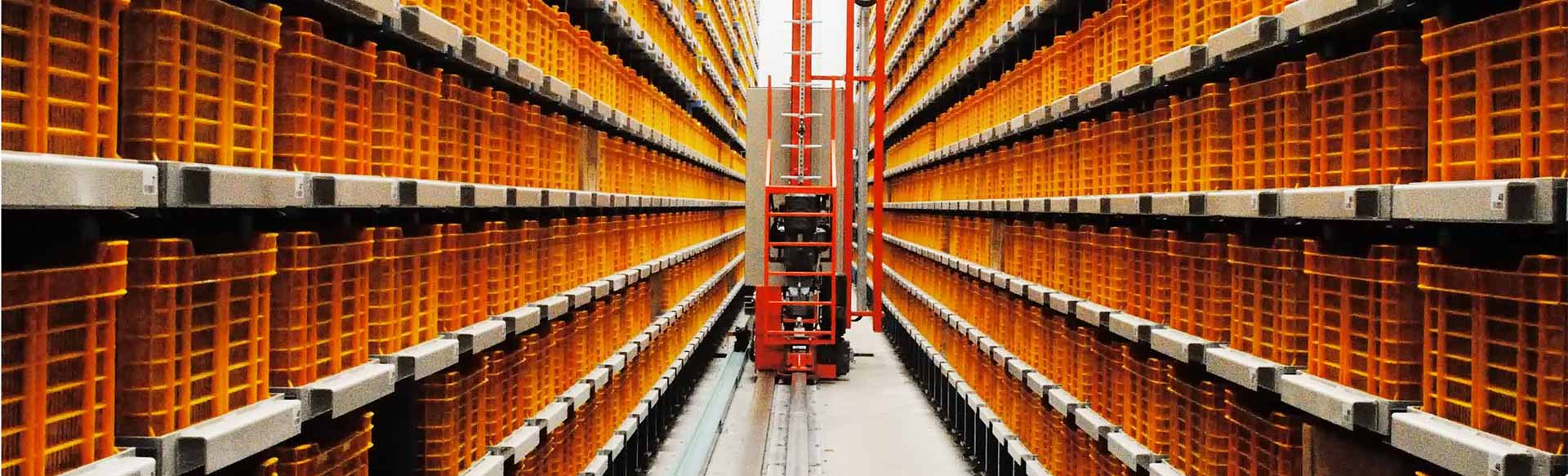 Tecnologie per ogni esigenza